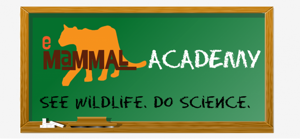eMammal Academy! See wildlife, do science.