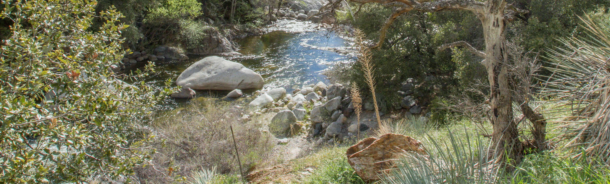 A stream in the foothills of Sequoia National Park.